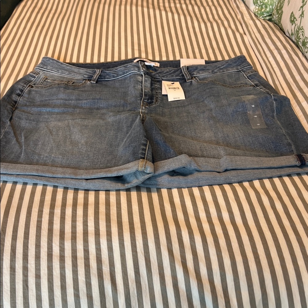 Lane Bryant Classic Blue Jean Shorts